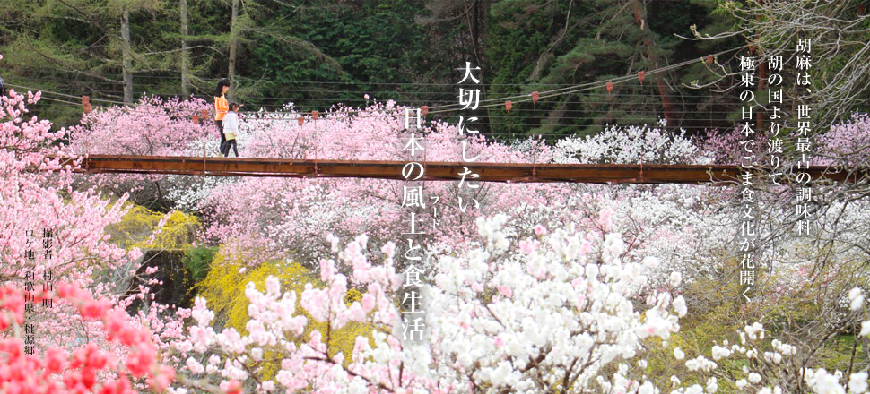 大切にしたい日本の風土と食生活